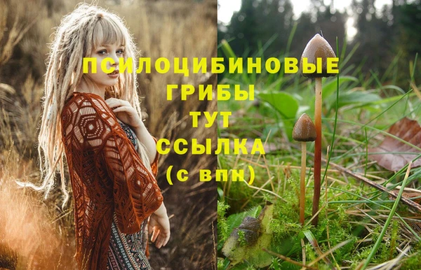 марихуана Каменск-Шахтинский