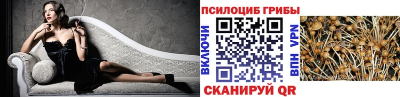 купить наркотики сайты  Усть-Джегута  Псилоцибиновые грибы прущие грибы 