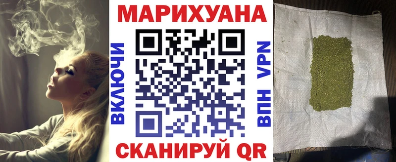 Каннабис сатива  Усть-Джегута 
